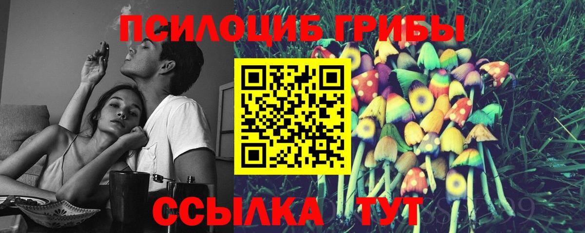 Юрга  где можно купить   Вход с VPN  Псилоцибиновые грибы MAGIC MUSHROOMS 